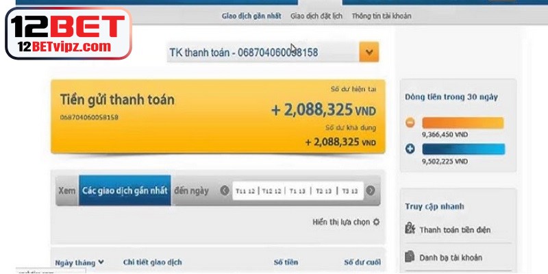 Link Vào 12BET – Trải Nghiệm Cá Cược Trực Tuyến Uy Tín 8 Các mục thông tin xuất hiện trong sao kê tài khoản 12BET